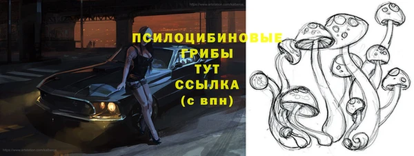 крисы Верхний Тагил