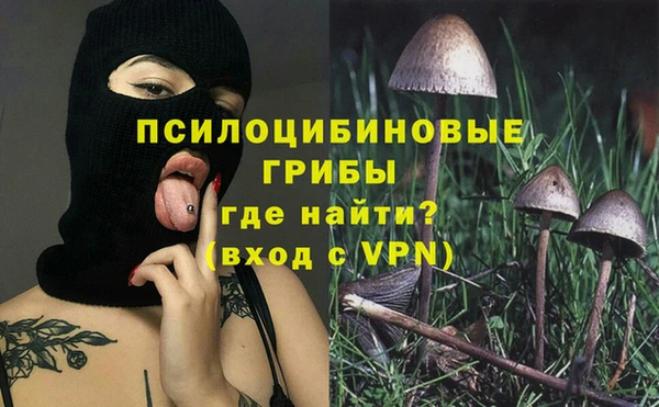 крисы Верхний Тагил