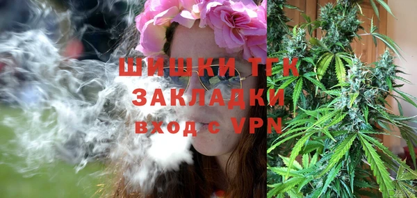 крисы Верхний Тагил