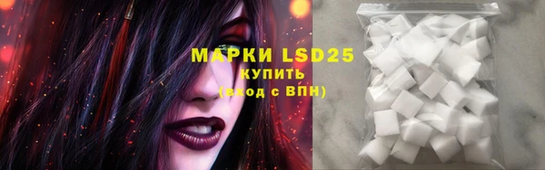 крисы Верхний Тагил