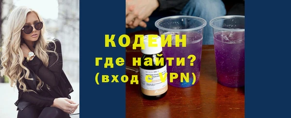 крисы Верхний Тагил