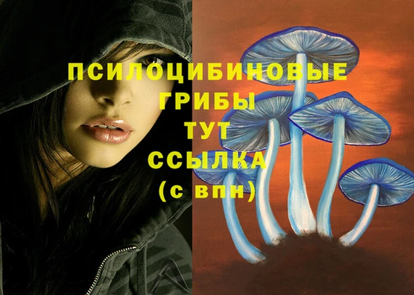 крисы Верхний Тагил