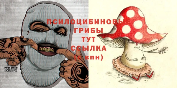 МДПВ Верхнеуральск