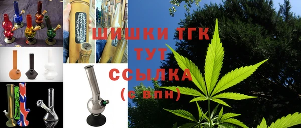 крисы Верхний Тагил