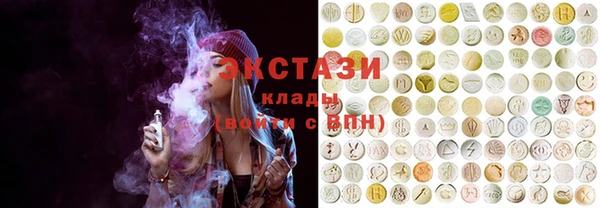 крисы Верхний Тагил