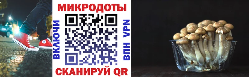 Галлюциногенные грибы мухоморы  Кострома 
